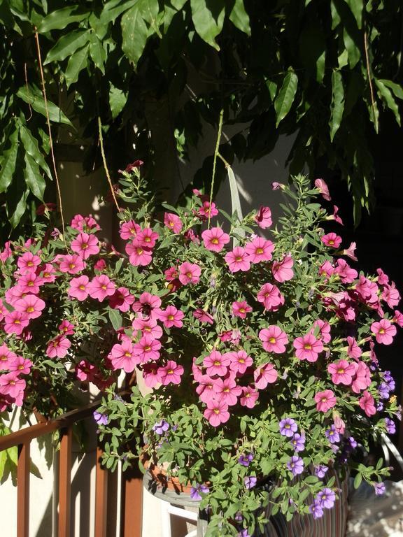 La Beytina - B&b&apartment Bed and breakfast