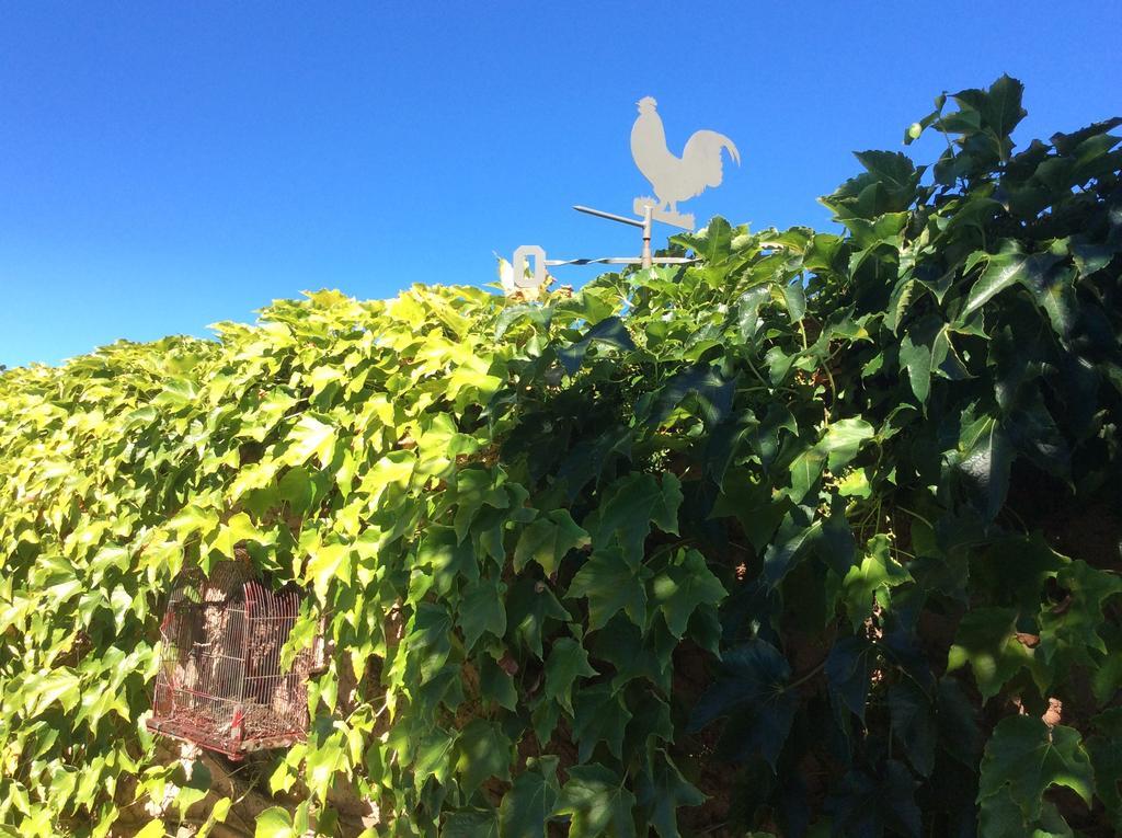 Bed and breakfast La Beytina - B&b&apartment Pennautier