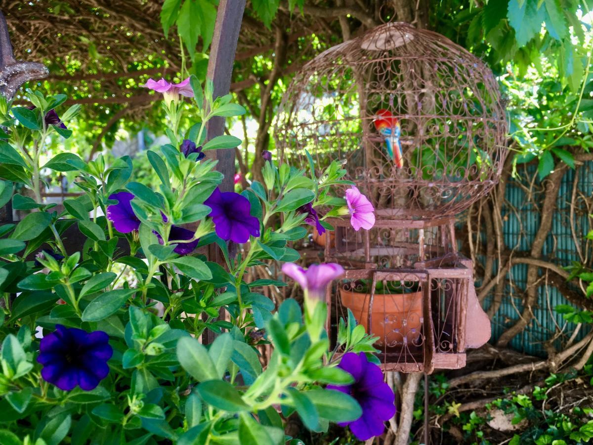 La Beytina - B&b&apartment 3* Pennautier