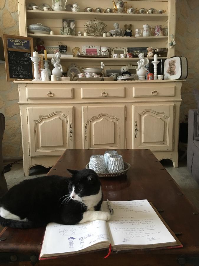 Bed and breakfast La Beytina - B&b&apartment Pennautier